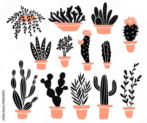 Vector set of tropical house  plants in scandinavian style. Isolated elements on the white background.