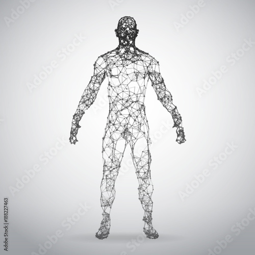 Abstract Wire frame human body. Polygonal 3d model on white background
