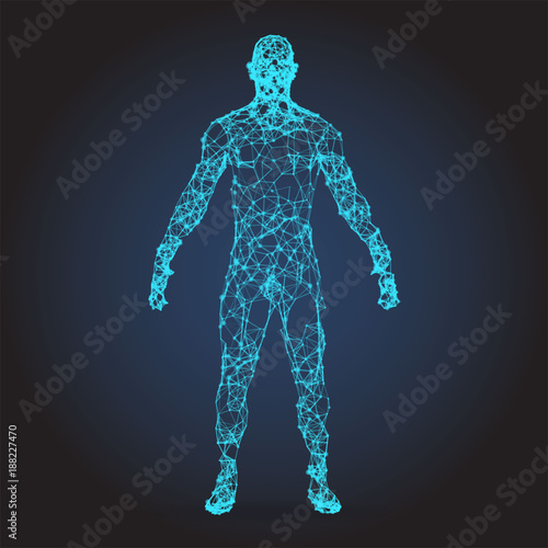 Low poly wireframe Human Body. Abstract Illustration