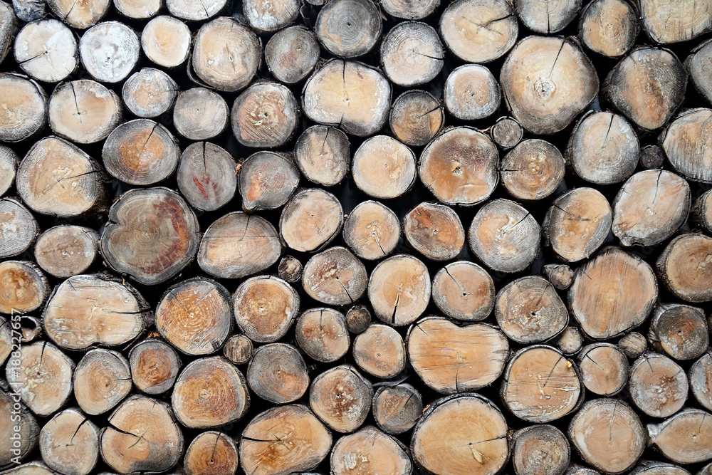 log wood background log wood background