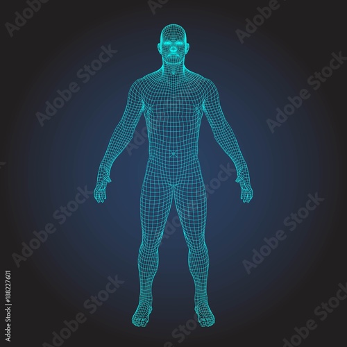 3D wireframe human body