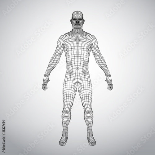 Wire frame human body. Polygonal 3d model on white background