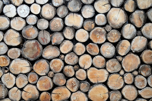 log wood background