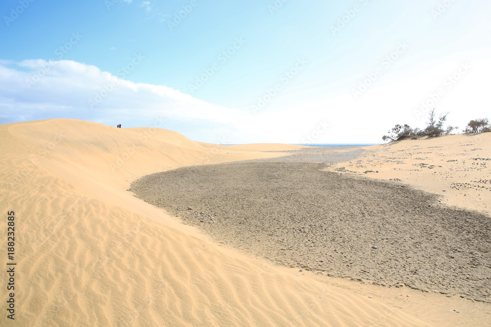 Sand dunes on the Atlantic coast in Maspalomas, Gran Canaria, Canary Islands, Spain Sand dunes on the Atlantic coast in Maspalomas, Gran Canaria, Canary Islands, Spain