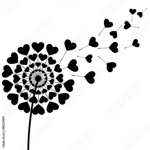 Fototapeta Naklejka Na Ścianę i Meble -  Black fluff dandelion heart shaped on white background