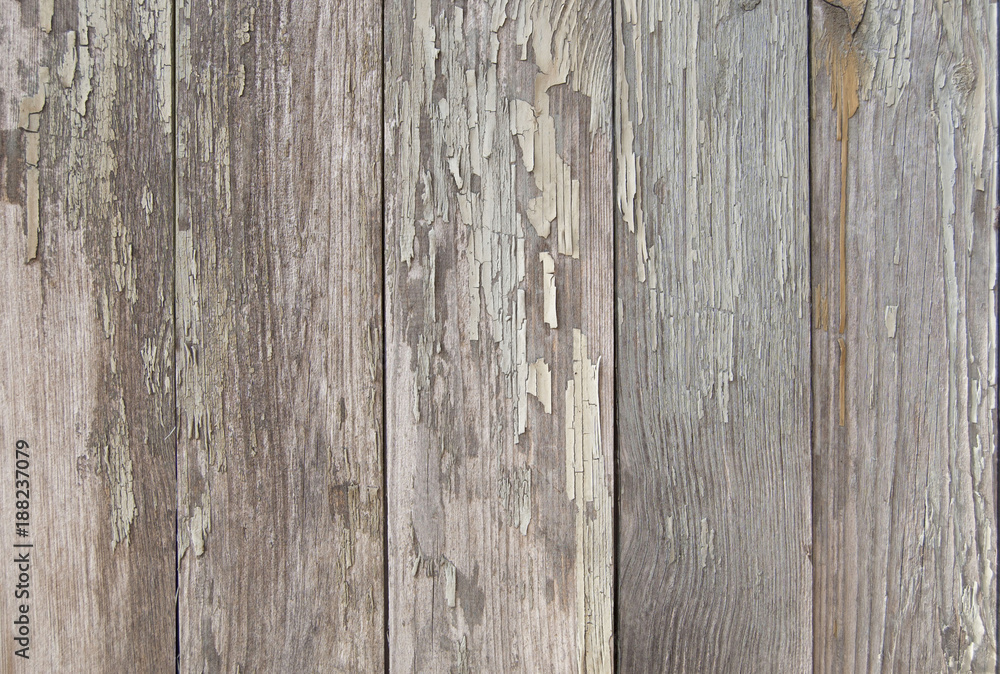 Fototapeta premium old wooden fence. wood palisade background. planks texture
