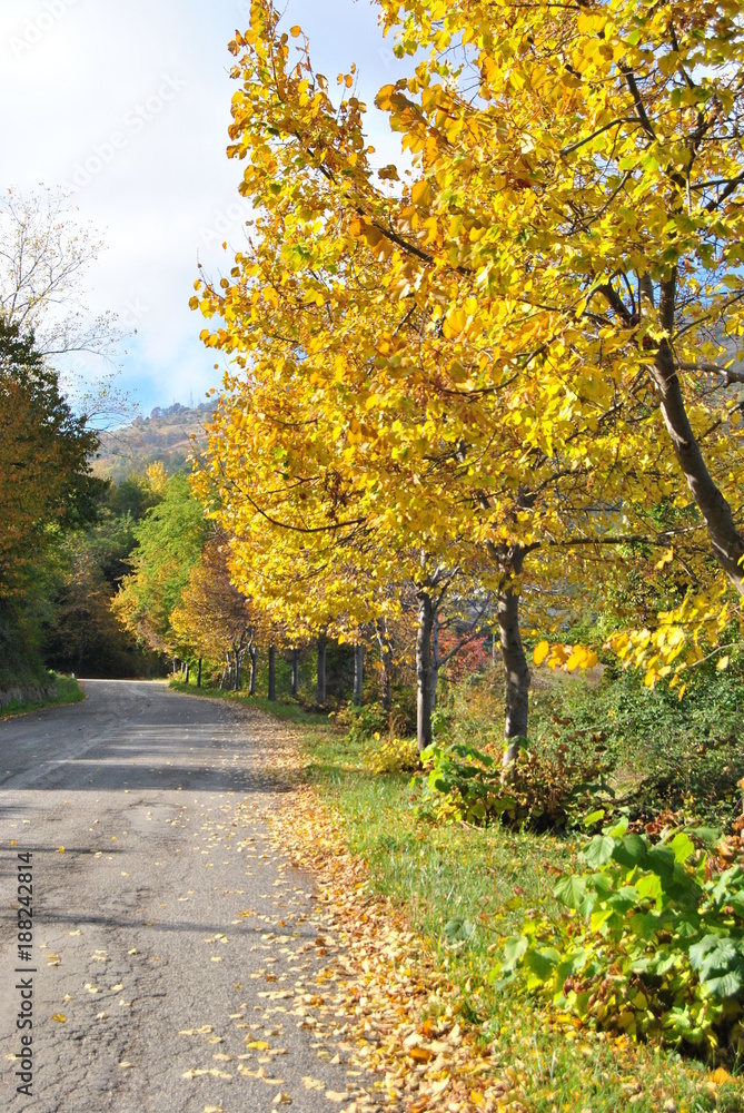 Naklejka premium Natura autunnale