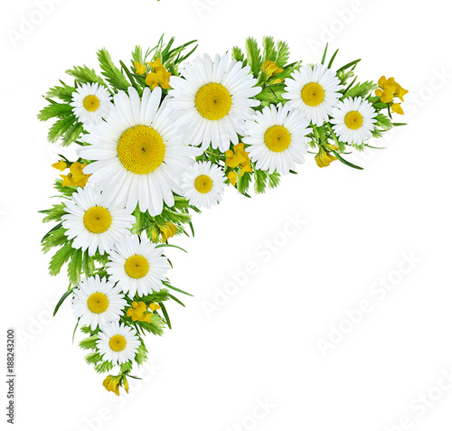 Fototapeta Naklejka Na Ścianę i Meble -  Wild flowers corner arrangement