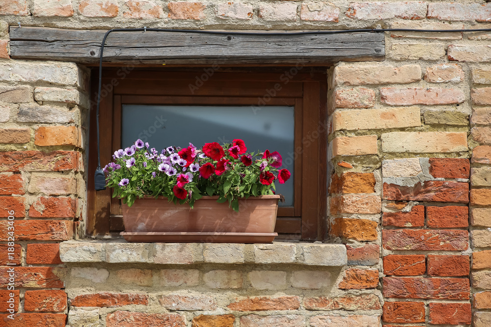 A shuttered window of a historic building with flowers on the windowsill.