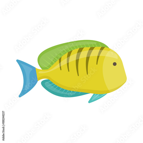 Tropical fish on white background, cartoon illustration. Vector
