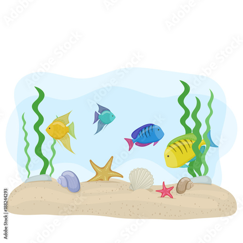 Tropical sea fishes on white background, cartoon illustration. Vector