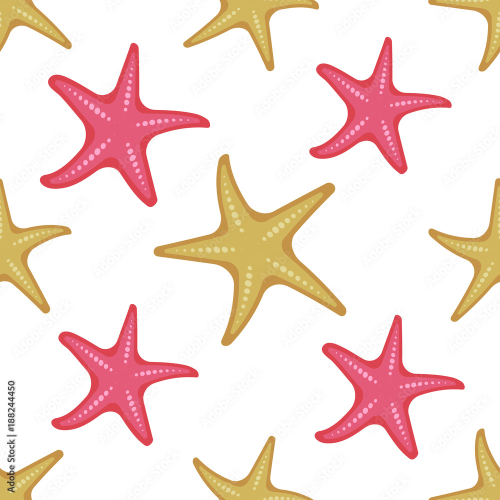 Seamless pattern shells and starfish on white background, cartoon illustration of beach summer background. Vector. Vector