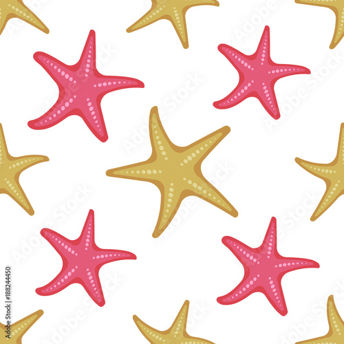 Seamless pattern shells and starfish on white background, cartoon illustration of beach summer background. Vector. Vector