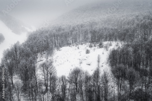 Aerial view of forest in the winter during the snowfall