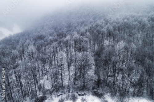 Aerial view of forest in the winter during the snowfall
