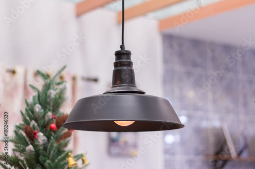 Ceiling light,hanging round light bulb,light bulb interior