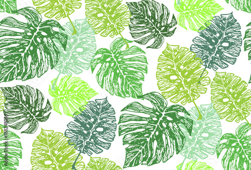 Hand drawn doodle tropical leaves. © jane55