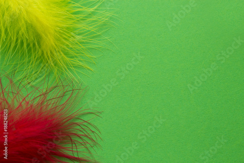 Colored feathers on a green background. Poster for carnival and holidays.
