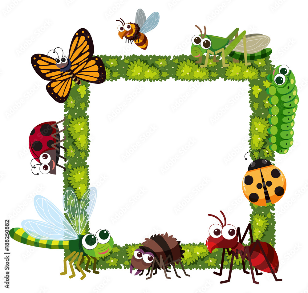 Fototapeta premium Grass frame with many insects