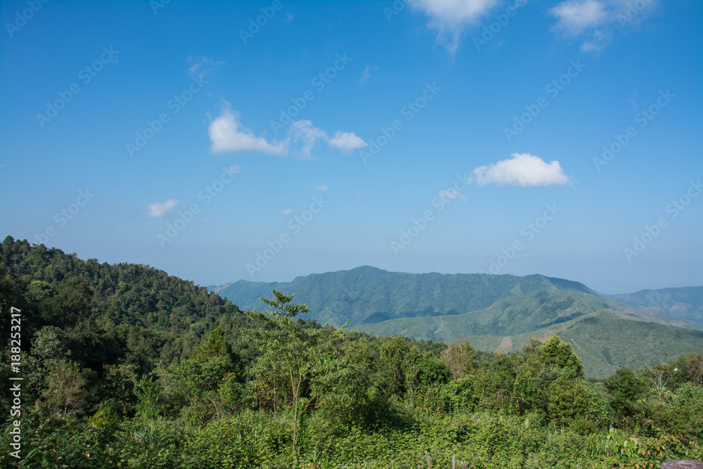 Forest Mountains landscape in the morning with fog,Doi phu kha,Nan,Thailand.