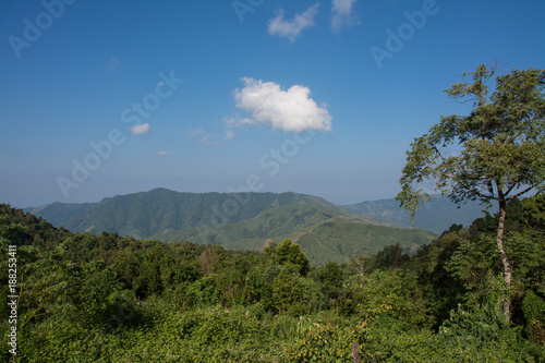 Forest Mountains landscape in the morning with fog Doi phu kha Nan Thailand.