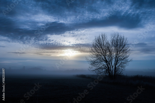 Foggy landscape
