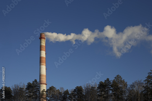 Smoke pipe CHP against the blue sky, the tops of trees are visible