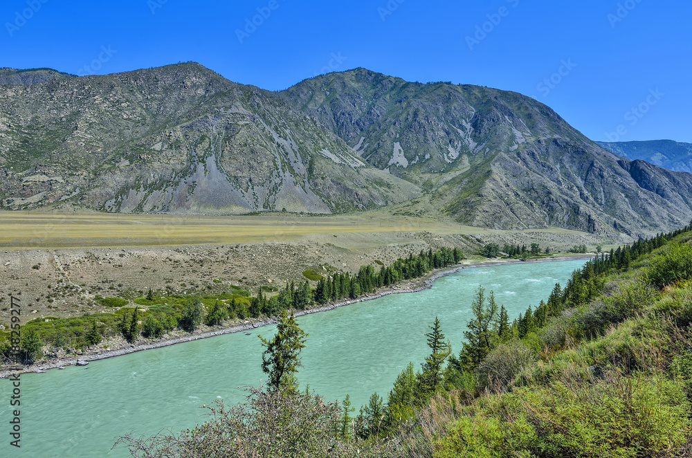 Turquoise mountain river Katun, Altai republic, Russia