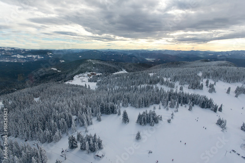 Amazing winter landscape of Rhodope Mountains near pamporovo resort, Smolyan Region, Bulgaria