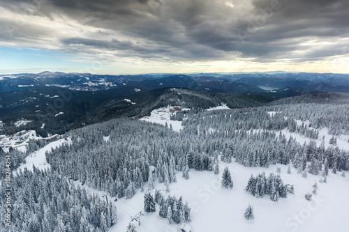 Amazing winter landscape of Rhodope Mountains near pamporovo resort  Smolyan Region  Bulgaria