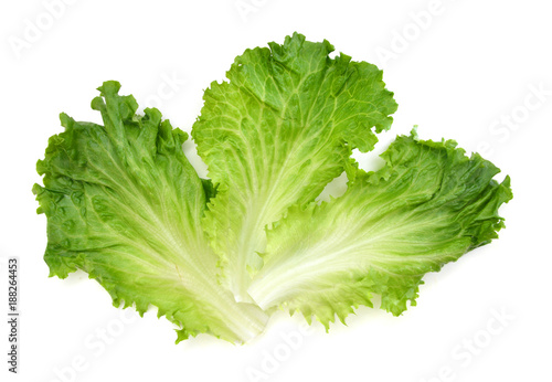 leaf fresh lettuce isolated on white background