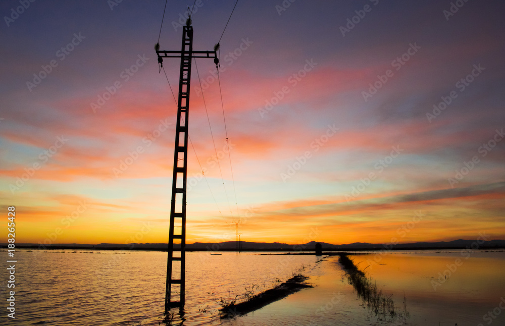 Sunset in rice field flooded with water with path, Valencia, Spain