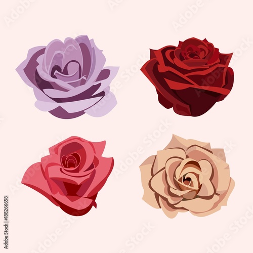  set of roses