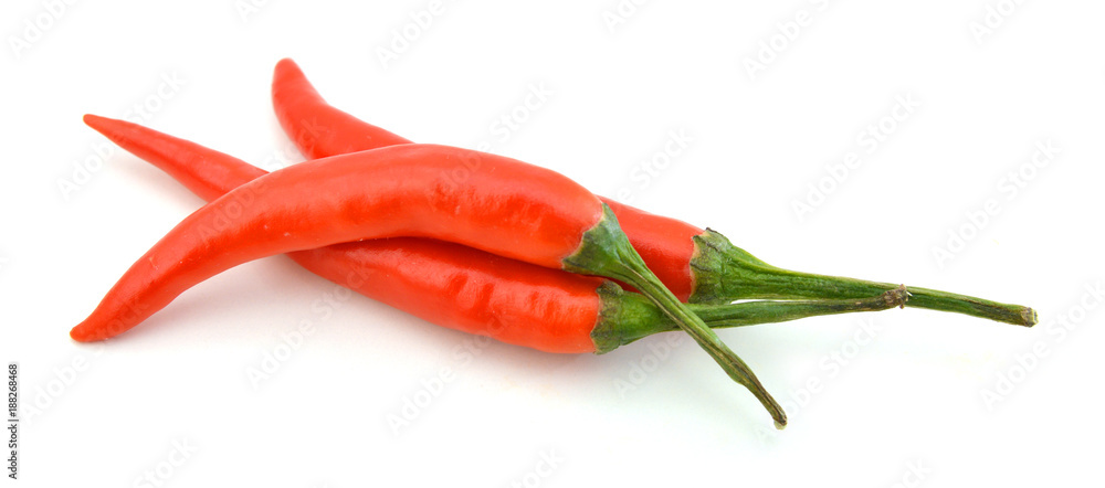 Red chilli peppers on white background Red chilli peppers on white background