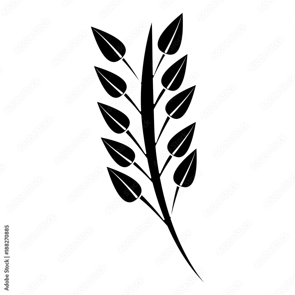 leaves with stem icon image vector illustration design black and white leaves with stem icon image vector illustration design black and white