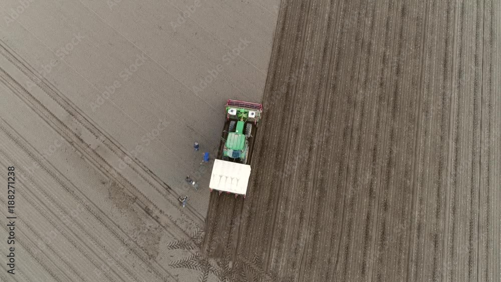Aerial top-down view above flower bulb planting tractor showing the GPS driven tractor putting tulip bulbs into light brown soil also showing team walking behind the computer driven machinery 4k Aerial top-down view above flower bulb planting tractor showing the GPS driven tractor putting tulip bulbs into light brown soil also showing team walking behind the computer driven machinery 4k