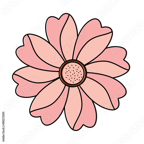 flower topview icon image vector illustration design 