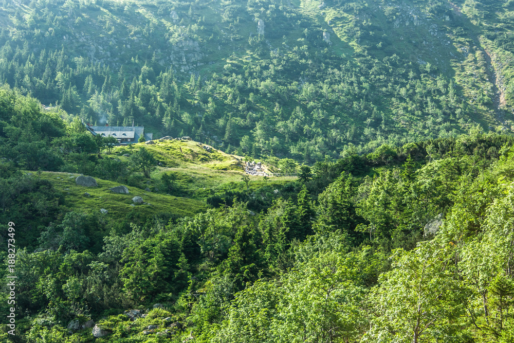 Fototapeta premium Karkonosze