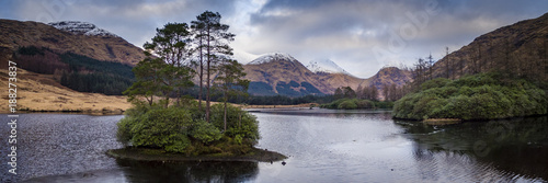 landscape view of scotland and trees growing in a loch in scotland