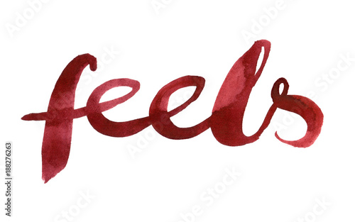 Hand written modern slang word "feels" painted in red watercolor on clean white background