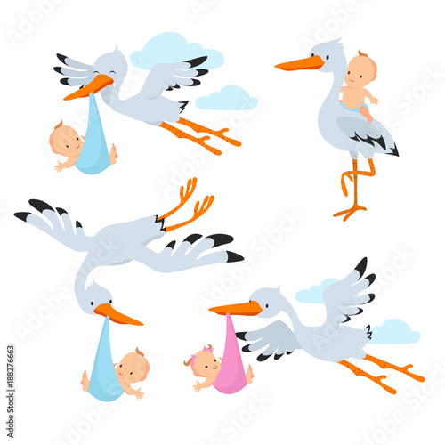 Cartoon flying storks and stork birds carrying baby vector set