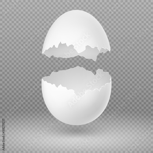 Opened white egg with broken shell isolated vector illustration