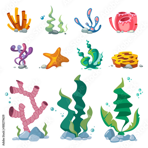 Bright seaweeds aquarium decoration cartoon vector set isolated on white background
