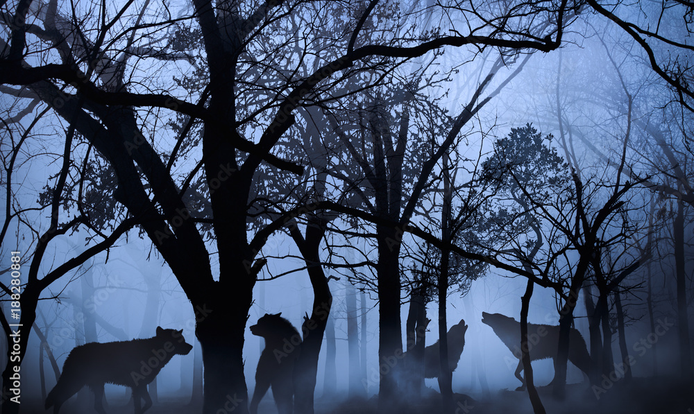 Naklejka premium wataha wilków w lesie zanurzona w porannej mgle
