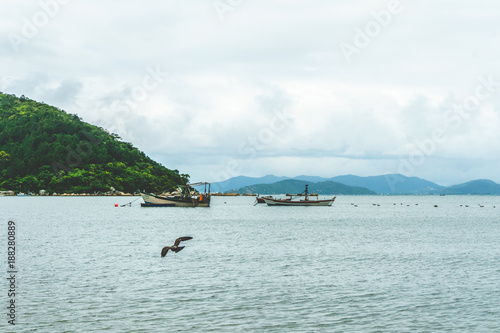 Montanha e mar, barcos e passarinho photo