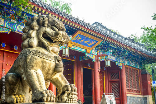 Photography Chinese guardian lion