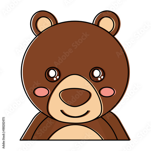 cute portrait bear animal baby vector illustration