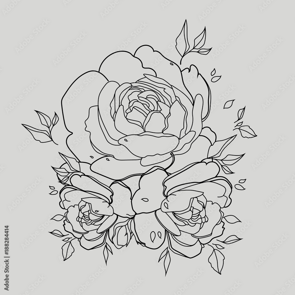 Rose flower isolated outline hand drawn. Stock line vector illustration.