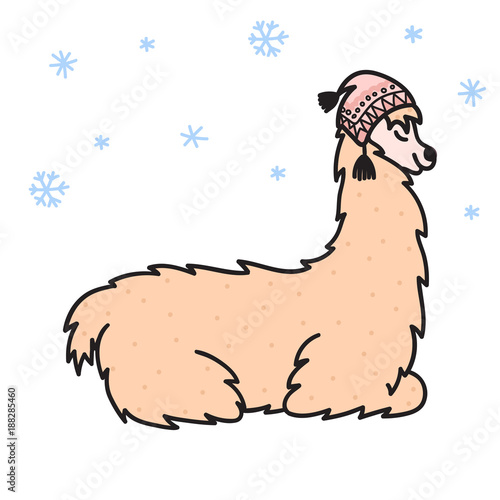 Hand drawn Peru animal, alpaca, vicuna. 