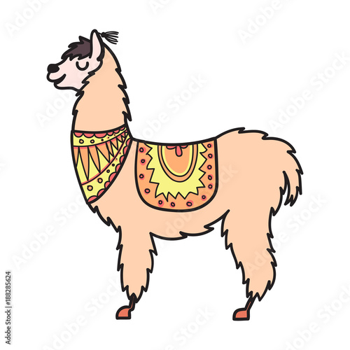 Vector, isolated outline cartoon baby llama.